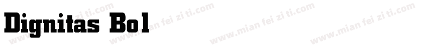 Dignitas Bold字体转换